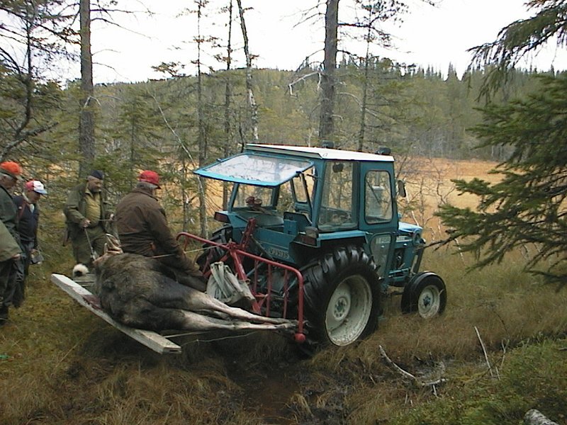 2000 Kneoksen Stakkjolen_5.jpg - Birger, Arvid, Trygve og Kåre (oppå Kneoksen) klar for start frakt til Rommet